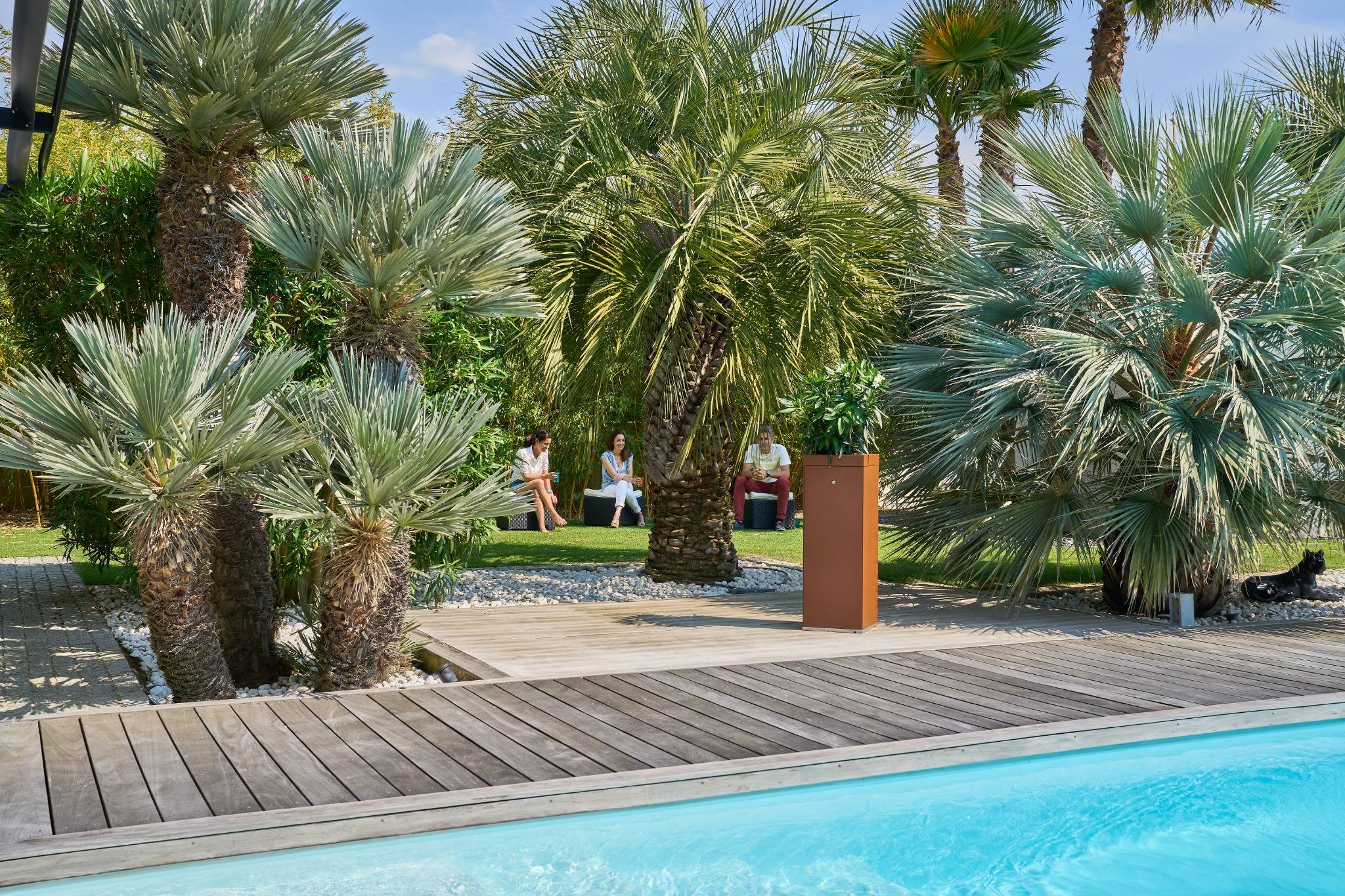 Espace détente avec piscine, terrasse en bois et palmiers exotiques dans un jardin paysager ensoleillé.