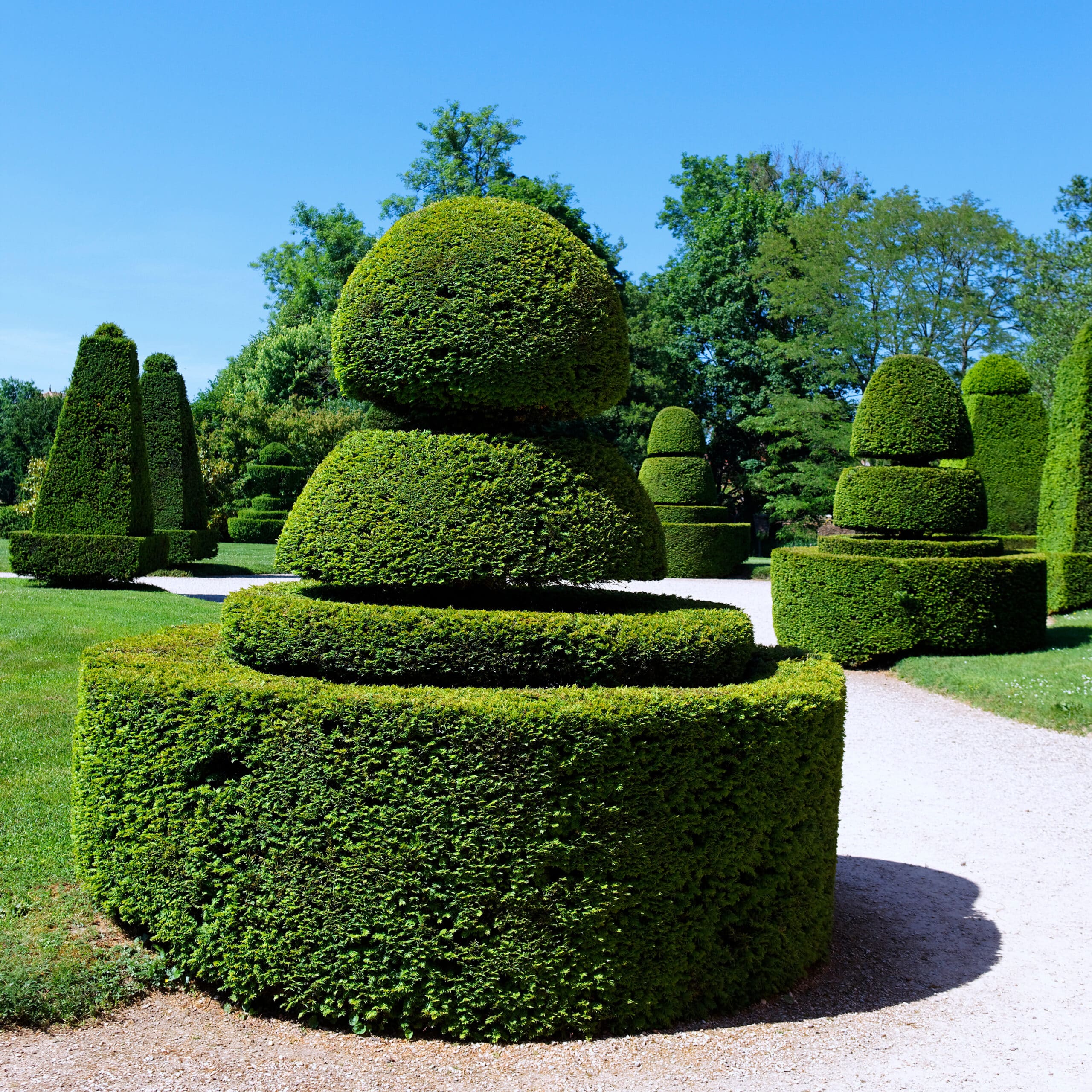 Grand jardin ensoleillé avec des topiaries aux formes géométriques complexes. Buissons taillés en spirales et cônes, chemins de gravier et ciel bleu.